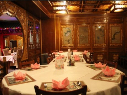 Foto: Lotus-Garten